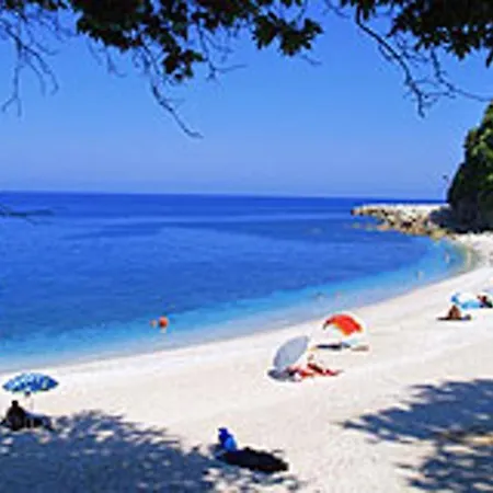 Spacious House With Sea View In