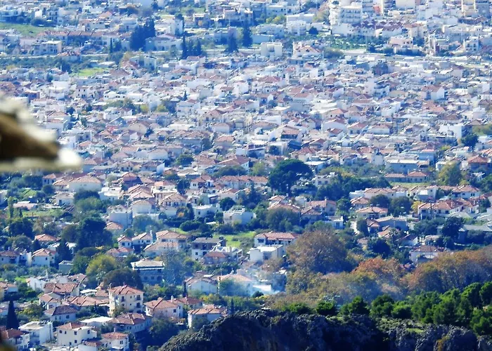 Spacious House With Sea View In * 볼로스