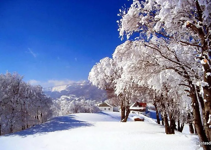 Spacious House With Sea View In 펜션 *