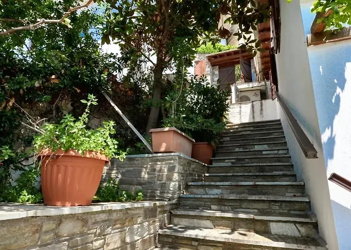 Spacious House With Sea View In *